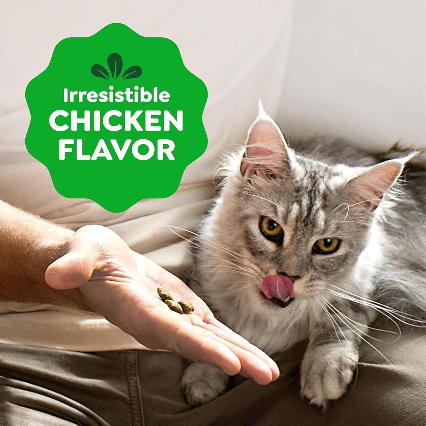 Feline SMARTBITES Healthy Skin and Fur, Chicken and Salmon Flavors, All Bag Sizes