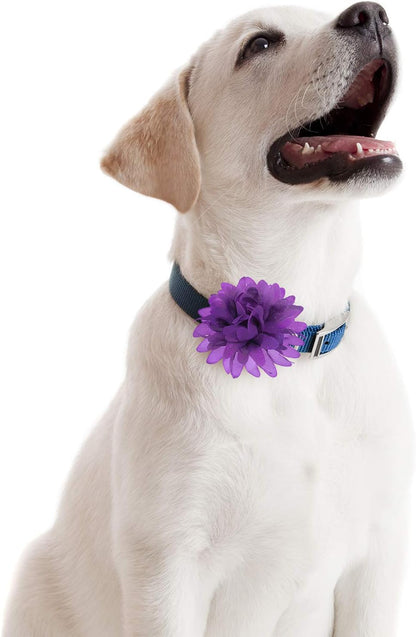 20 Pieces Dog Collar Flowers Pet Flower Bow Ties Multi-Color Dog Charms Flower for Puppy Dog Collar Grooming Accessories (10 Cm/ 4 Inch)
