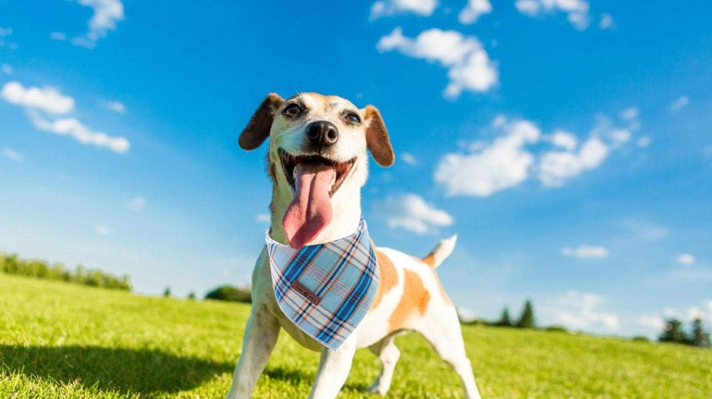 Dog Bandana for Small Medium Large Dogs, Cat Dog Kerchief Dog Triangle Bibs Scarf for Girl or Boy