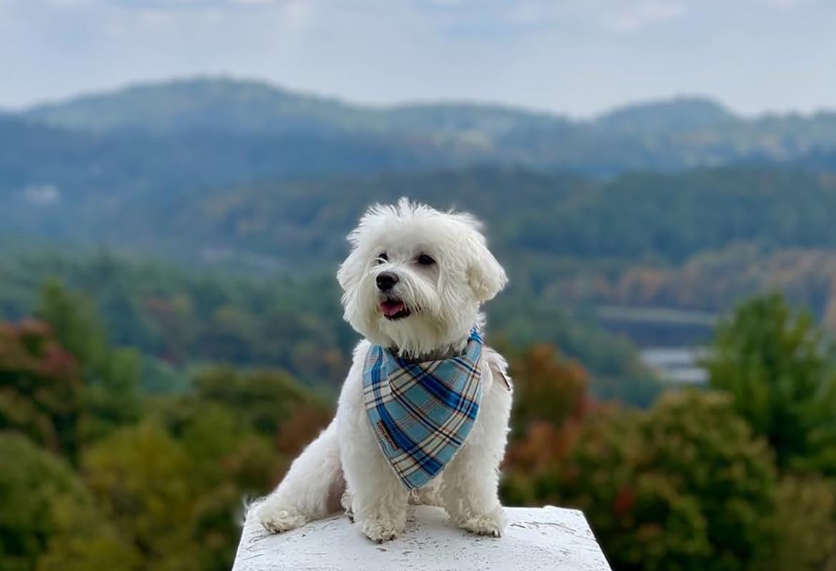 Dog Bandana for Small Medium Large Dogs, Cat Dog Kerchief Dog Triangle Bibs Scarf for Girl or Boy